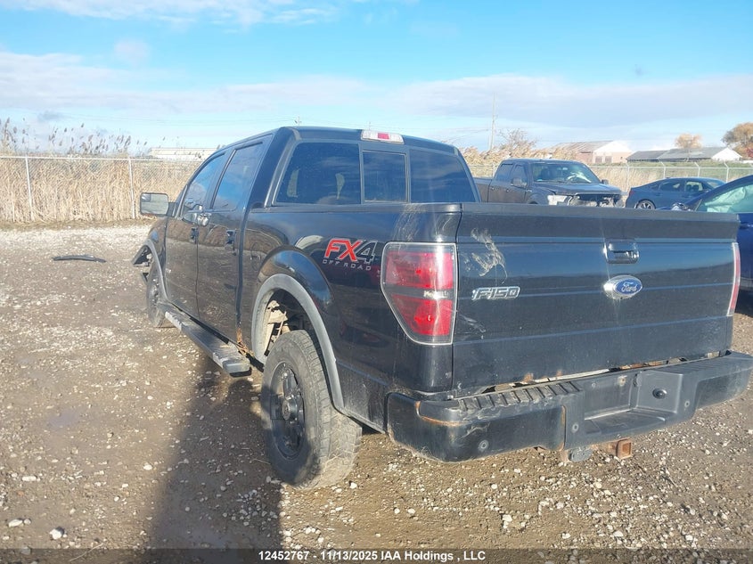1FTFW1ET2EFA53109 2014 FORD F-150 photo no. 3