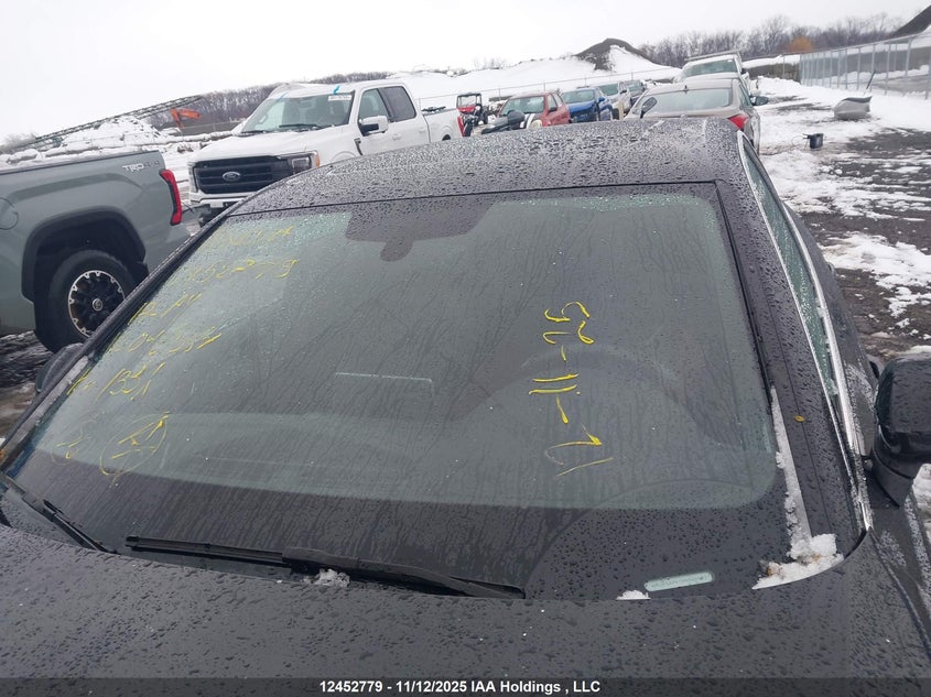 2017 Audi A4 2.0T Progressiv VIN: WAUENAF41HN046567 Lot: 12452779