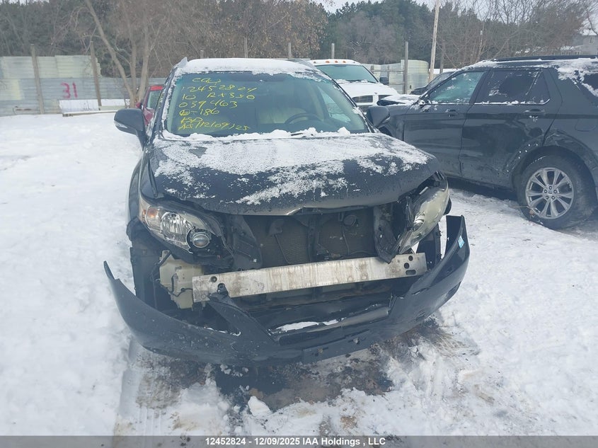 2T2BK1BA0AC039463 2010 LEXUS RX photo no. 13