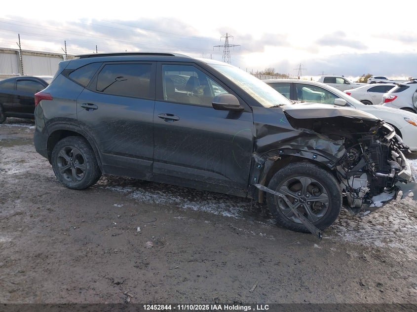 2023 Kia Seltos Lx VIN: KNDEP2AA8P7377746 Lot: 12452844