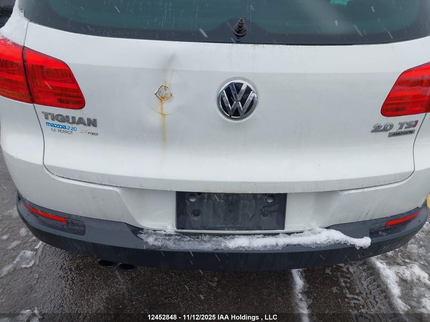 WVGJV7AX8FW572106 2015 VOLKSWAGEN TIGUAN photo no. 20