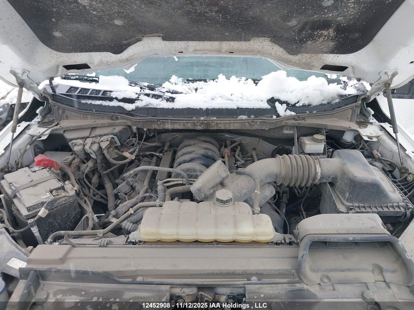 2023 Ford F150 Supercrew VIN: 1FTFW1E58PKD46881 Lot: 12452908