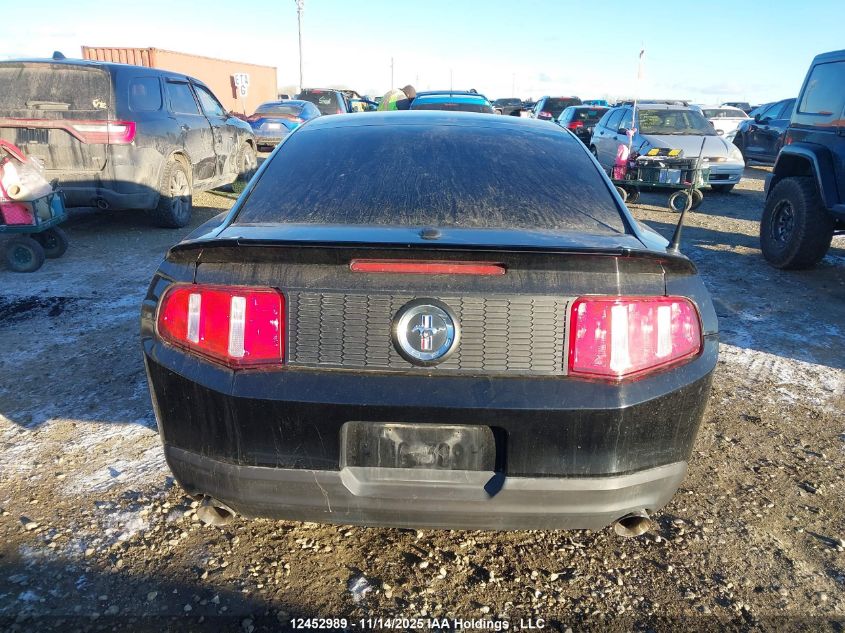 2012 Ford Mustang V6 Premium VIN: 1ZVBP8AM0C5215399 Lot: 12452989