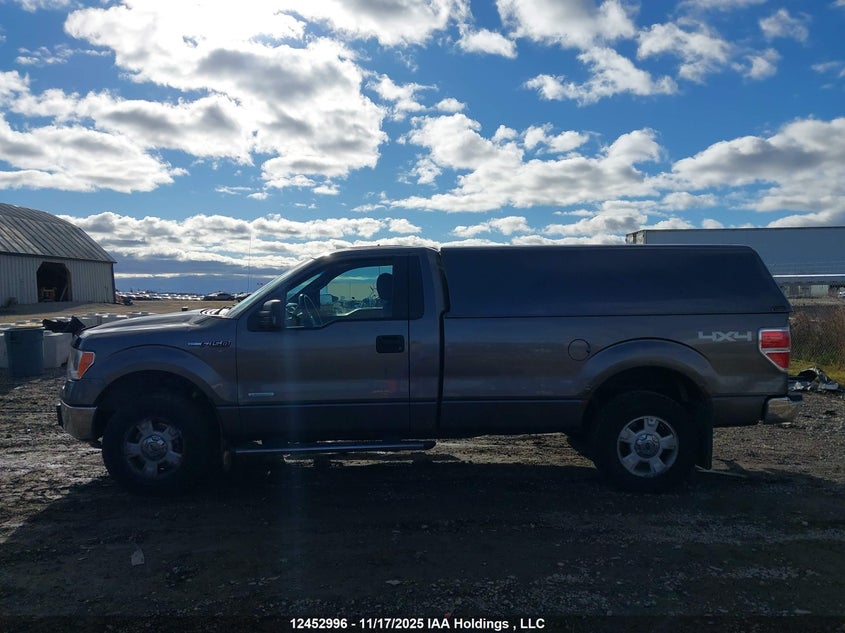 1FTNF1ETXEKD65083 2014 FORD F-150 photo no. 14