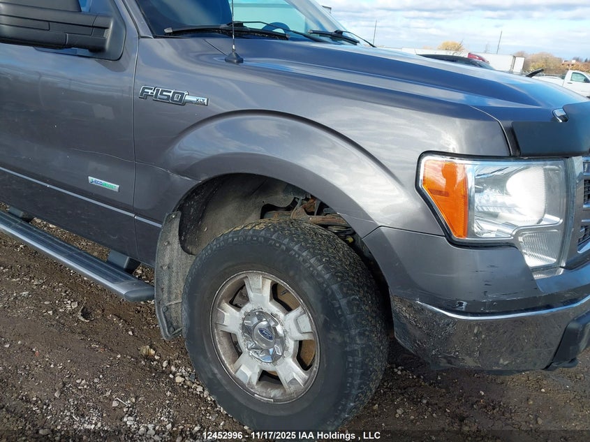 1FTNF1ETXEKD65083 2014 FORD F-150 photo no. 6