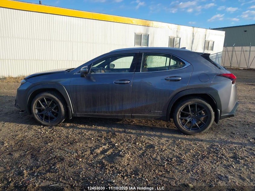 2020 Lexus Ux 250H VIN: JTHL9JBHXL2030416 Lot: 12453030