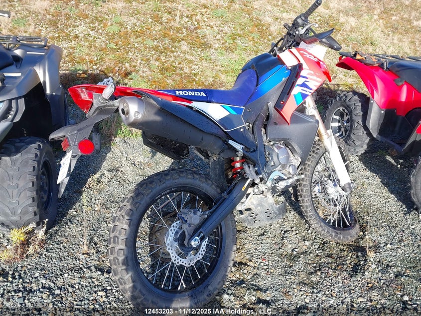 MLHND1661S5400132 2025 HONDA CRF photo no. 4