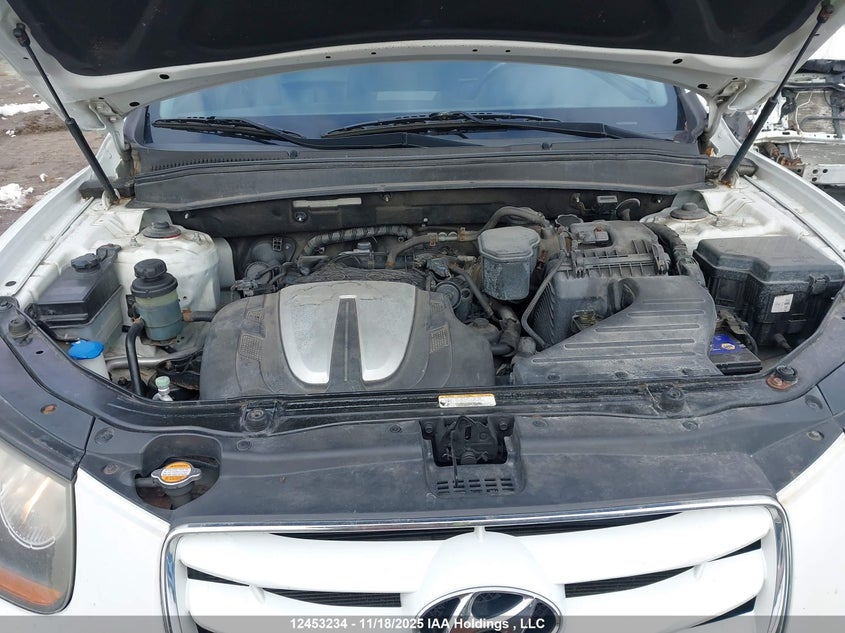 5NMSHDAG3AH385401 2010 HYUNDAI SANTA FE photo no. 10
