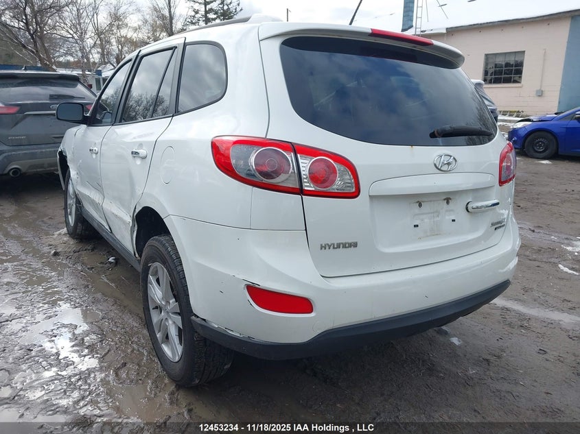 5NMSHDAG3AH385401 2010 HYUNDAI SANTA FE photo no. 3