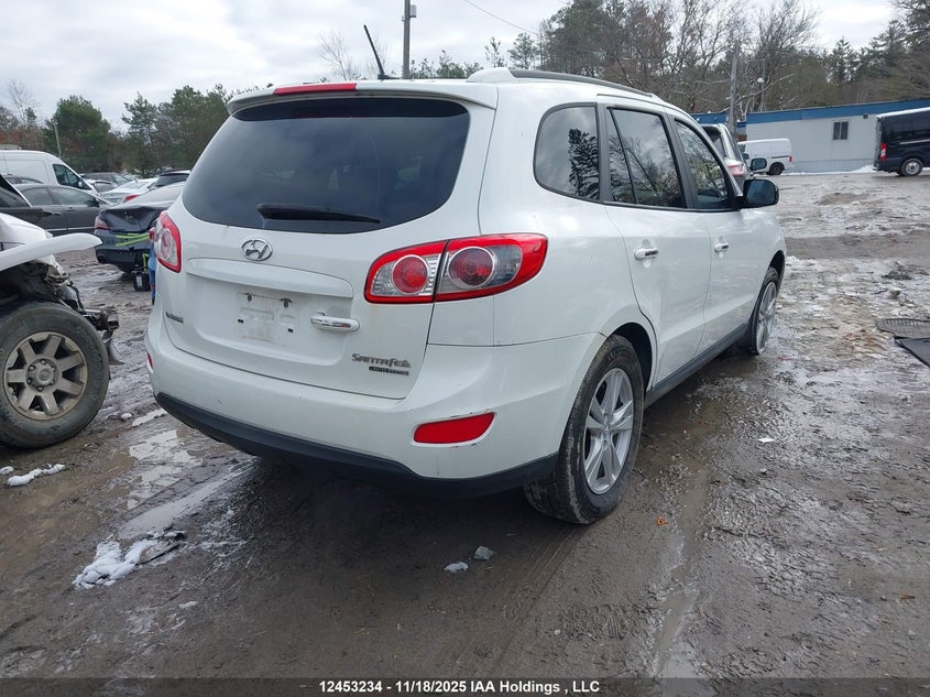 5NMSHDAG3AH385401 2010 HYUNDAI SANTA FE photo no. 4