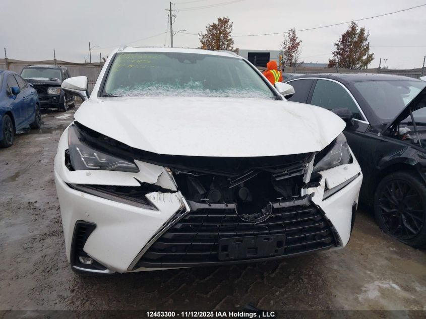 2020 Lexus Nx 300 VIN: JTJHARDZ1L5003443 Lot: 12453300