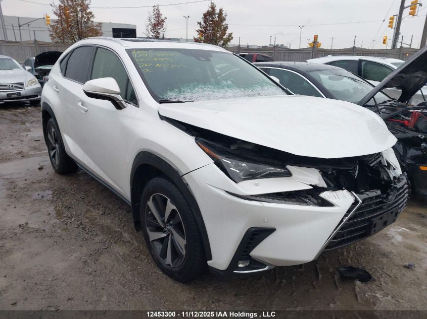 2020 Lexus Nx 300 VIN: JTJHARDZ1L5003443 Lot: 12453300