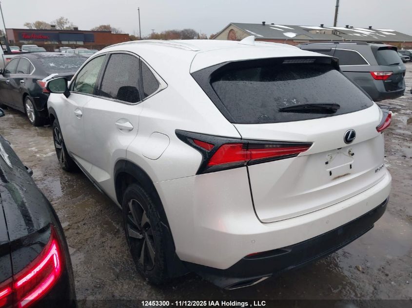 2020 Lexus Nx 300 VIN: JTJHARDZ1L5003443 Lot: 12453300