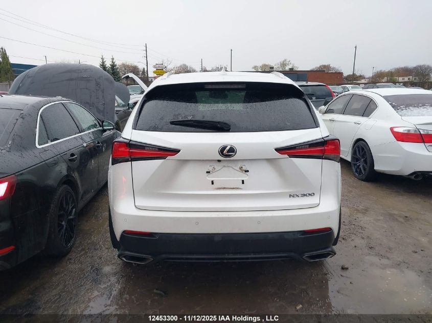 2020 Lexus Nx 300 VIN: JTJHARDZ1L5003443 Lot: 12453300