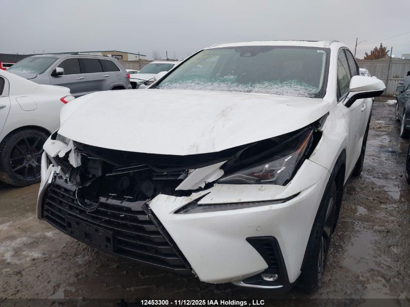 2020 Lexus Nx 300 VIN: JTJHARDZ1L5003443 Lot: 12453300