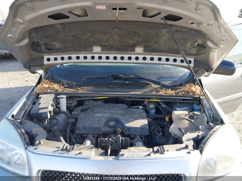 1GNDV23149D125406 2009 CHEVROLET UPLANDER photo no. 10