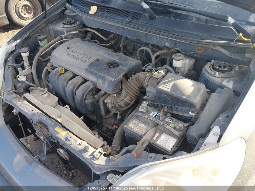 2007 Toyota Matrix Wagon VIN: 2T1KR32E07C666509 Lot: 12453375