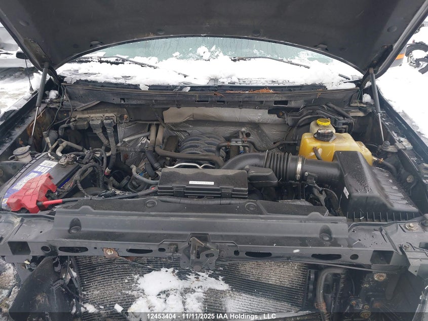 1FTFX1EF5EFC20635 2014 FORD F-150 photo no. 10