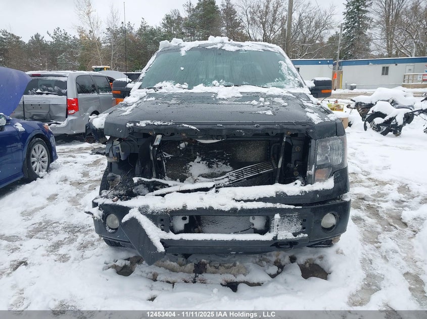 1FTFX1EF5EFC20635 2014 FORD F-150 photo no. 12