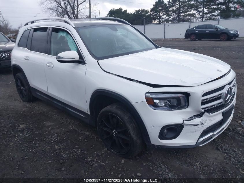 2023 Mercedes-Benz Glb 250 4Matic VIN: W1N4M4HB3PW318701 Lot: 12453557