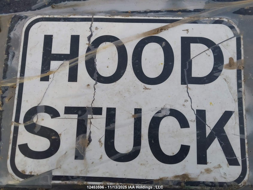 2020 Infiniti Qx60 Essential/Limited Edition/Proactive/Pure/Sensory/Signature Edition VIN: 5N1DL0MM4LC534168 Lot: 12453596