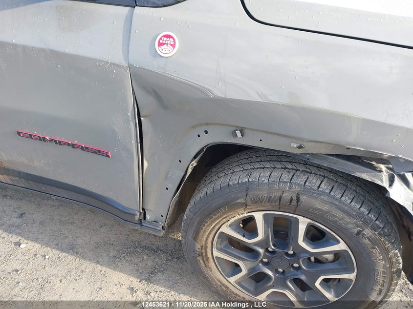 2019 Jeep Compass Trailhawk VIN: 3C4NJDDB9KT853945 Lot: 12453621