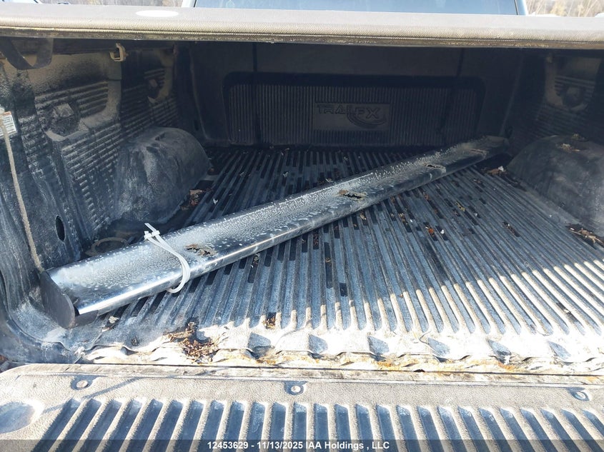 3GCRCSE08AG166685 2010 CHEVROLET SILVERADO photo no. 12