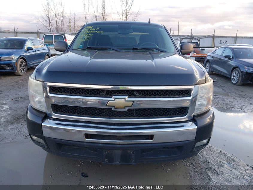 3GCRCSE08AG166685 2010 CHEVROLET SILVERADO photo no. 13