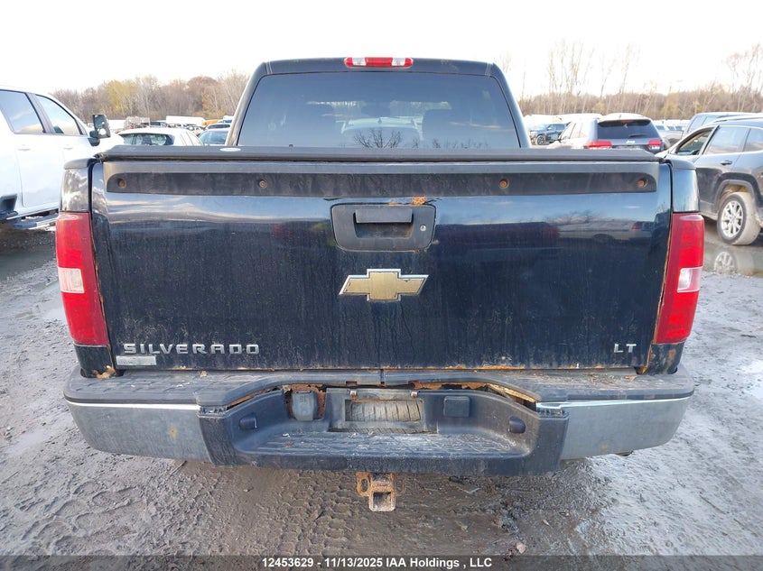 3GCRCSE08AG166685 2010 CHEVROLET SILVERADO photo no. 17