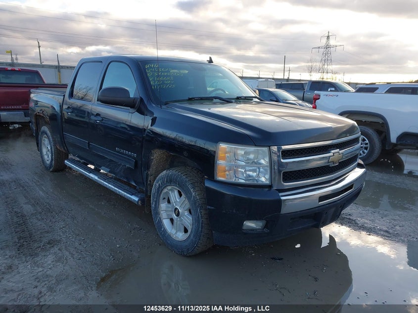 3GCRCSE08AG166685 2010 CHEVROLET SILVERADO photo no. 7