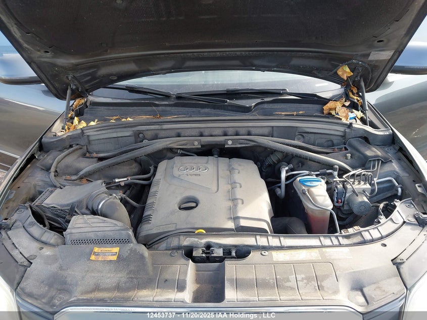 2013 Audi Q5 2.0T Premium Plus VIN: WA1WFCFP5DA036355 Lot: 12453737