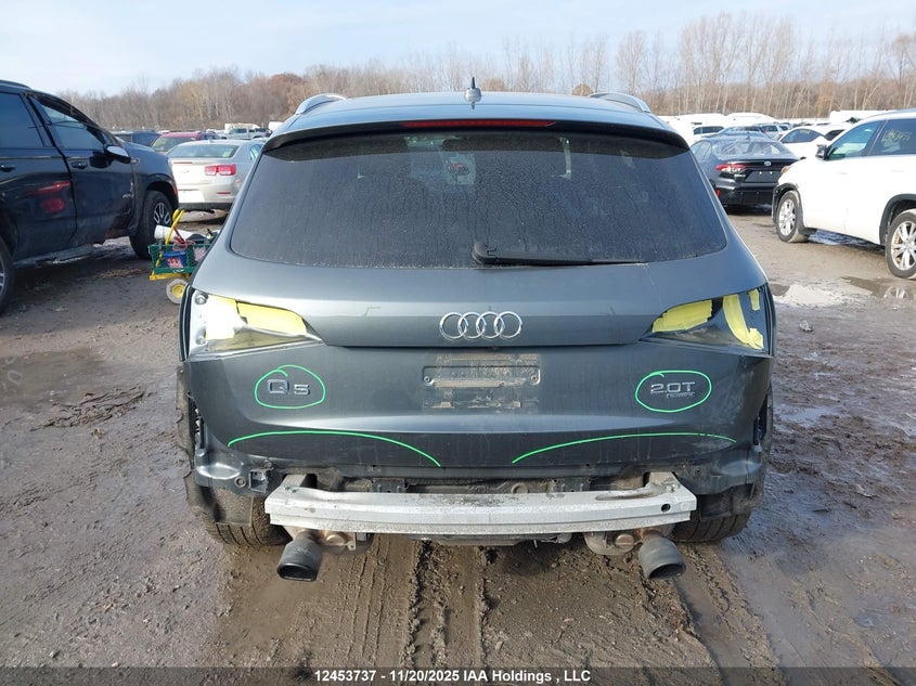 2013 Audi Q5 2.0T Premium Plus VIN: WA1WFCFP5DA036355 Lot: 12453737