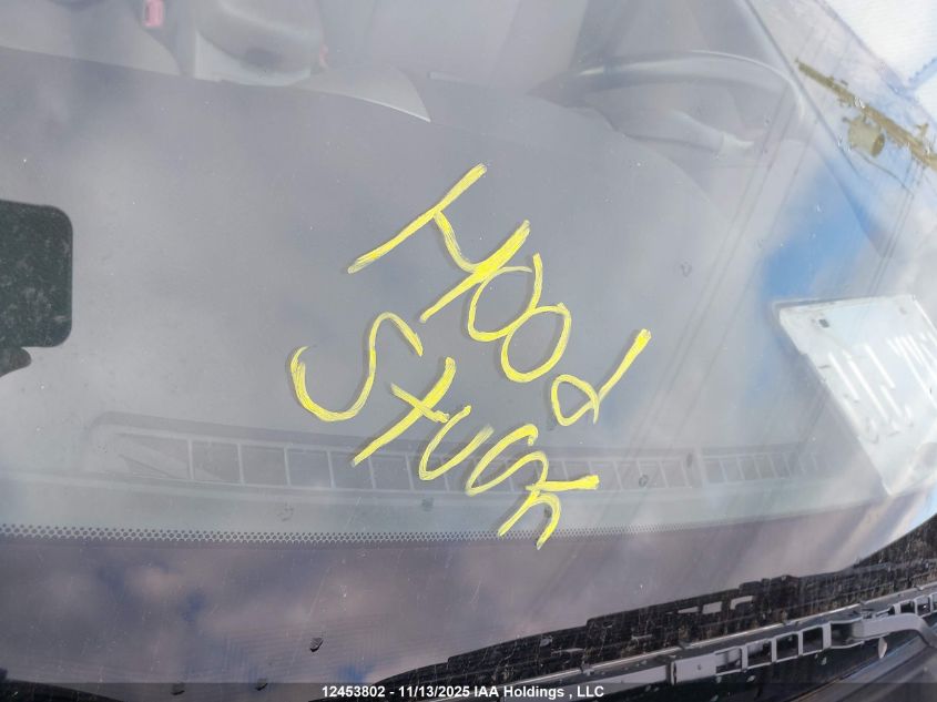 2007 Toyota Rav4 Limited VIN: JTMBD31V576025928 Lot: 12453802