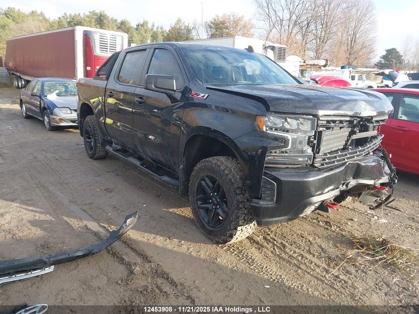 1GCPYFED6MZ101504 CHEVROLET SILVERADO Photo 1