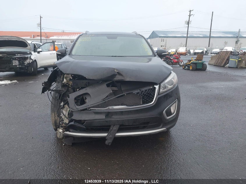 5XYPHDA53HG306253 2017 KIA SORENTO photo no. 12