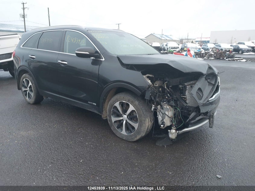 5XYPHDA53HG306253 2017 KIA SORENTO photo no. 19