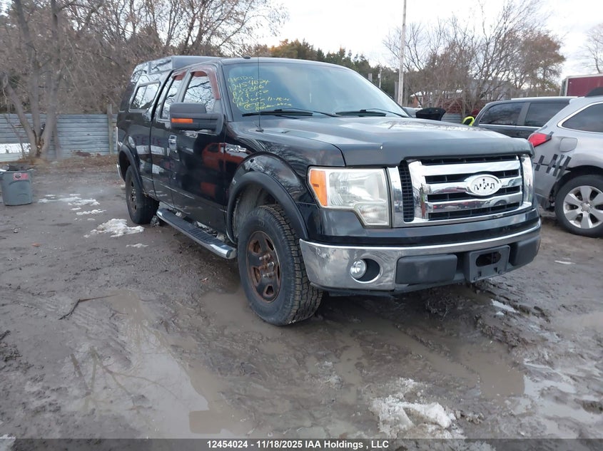1FTRX12819KA38866 2009 FORD F-150 photo no. 5