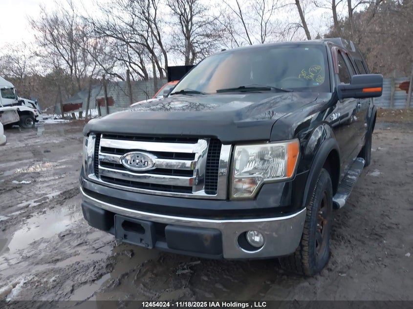 1FTRX12819KA38866 2009 FORD F-150 photo no. 6