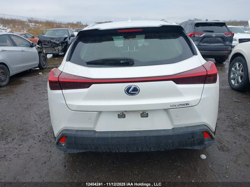 2020 Lexus Ux 250H VIN: JTHL9JBH8L2031399 Lot: 12454241