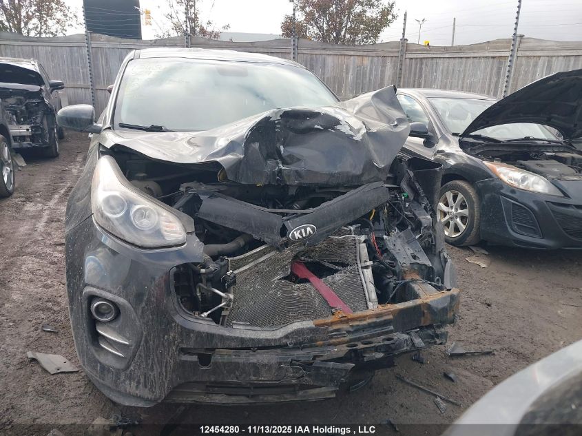 2018 Kia Sportage Lx VIN: KNDPM3AC1J7369312 Lot: 12454280