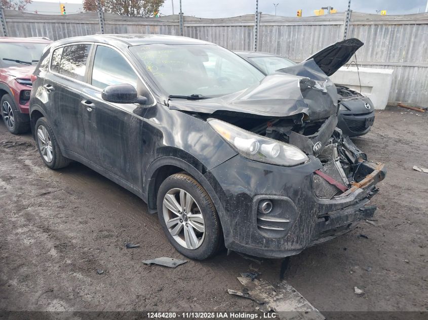 2018 Kia Sportage Lx VIN: KNDPM3AC1J7369312 Lot: 12454280