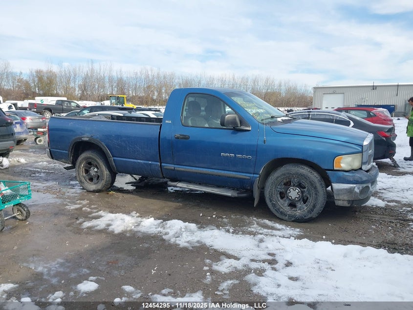 2002 Dodge Ram 1500 VIN: 1D7HA16N52J130206 Lot: 12454295