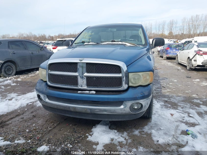 2002 Dodge Ram 1500 VIN: 1D7HA16N52J130206 Lot: 12454295