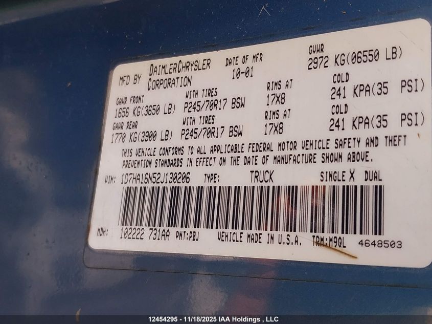 2002 Dodge Ram 1500 VIN: 1D7HA16N52J130206 Lot: 12454295