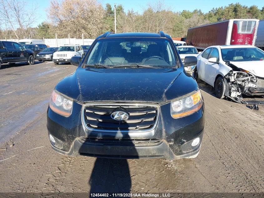 5NMSHDAG5AH335986 2010 HYUNDAI SANTA FE photo no. 12