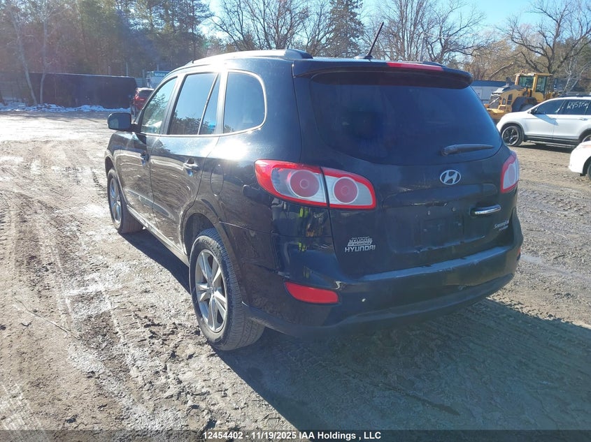5NMSHDAG5AH335986 2010 HYUNDAI SANTA FE photo no. 3