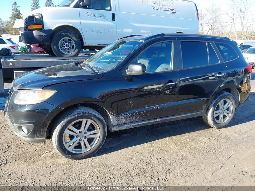 5NMSHDAG5AH335986 2010 HYUNDAI SANTA FE photo no. 6