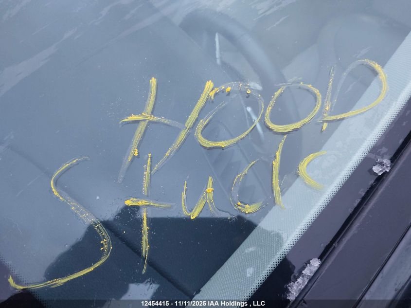 2020 Hyundai Palisade Sel VIN: KM8R3DHE3LU086161 Lot: 12454415