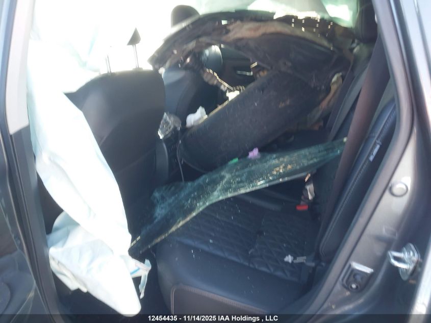 2020 Nissan Murano Platinum VIN: 5N1AZ2DSXLN135927 Lot: 12454435