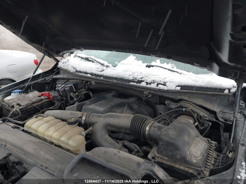 1FTFW1E46LKE01071 2020 FORD F-150 photo no. 10